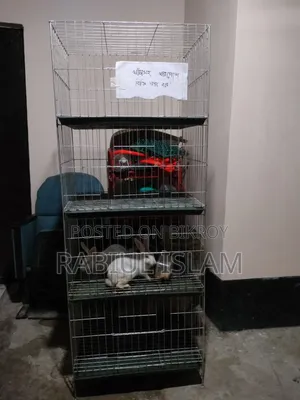 খাঁচা সহ খরগোশ বিক্রি করা হবে।