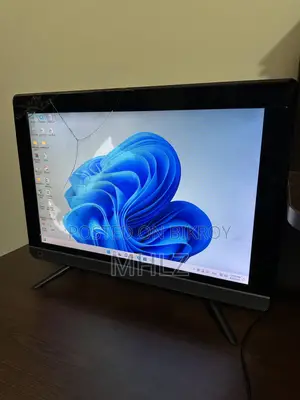 Sony Monitor