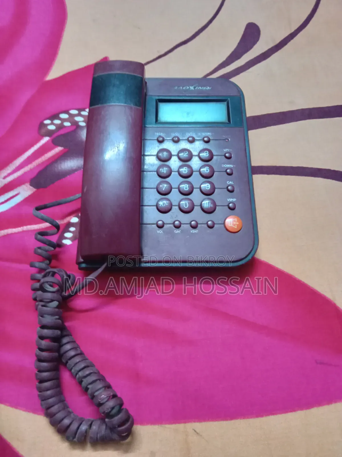 আইভিভি ব্ল্যাক