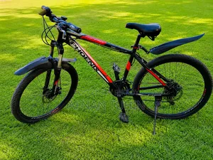 Phoenix Giar Cycle for Sell- Size 26