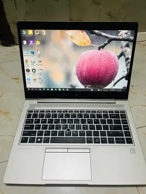 Laptop HP EliteBook 840 G6 8GB AMD Ryzen 5 HDD+SSD 256GB