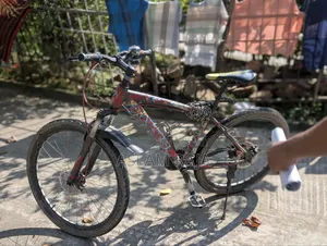 বাই সাইকেল