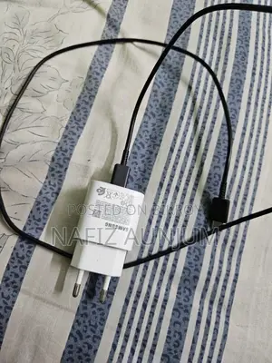 Samsung Original Charger