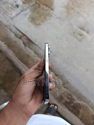 অ্যাপল আইফোন ১৩ প্রো ২৫৬ জিবি গ্রে