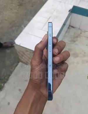 অ্যাপল আইফোন ১৩ প্রো ২৫৬ জিবি নীল