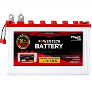 Power Tech PTTB 220 Tubular IPS Battery