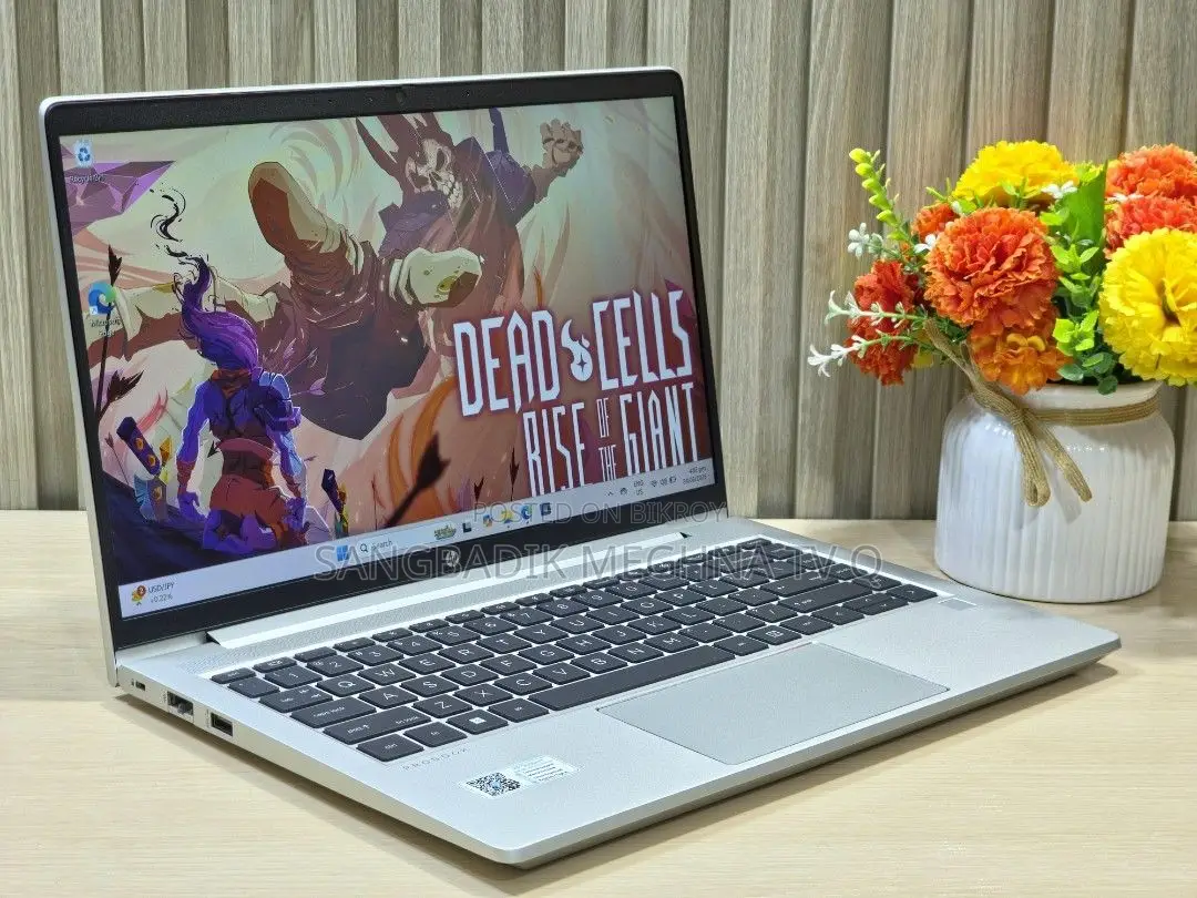 Laptop HP 8GB AMD Ryzen SSD 512GB