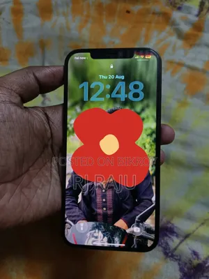 Apple iPhone 12 Pro Max 256 GB Blue