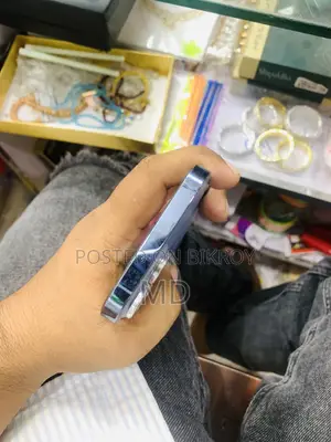 অ্যাপল আইফোন ১৩ প্রো ম্যাক্স ১২৮ জিবি পার্পল