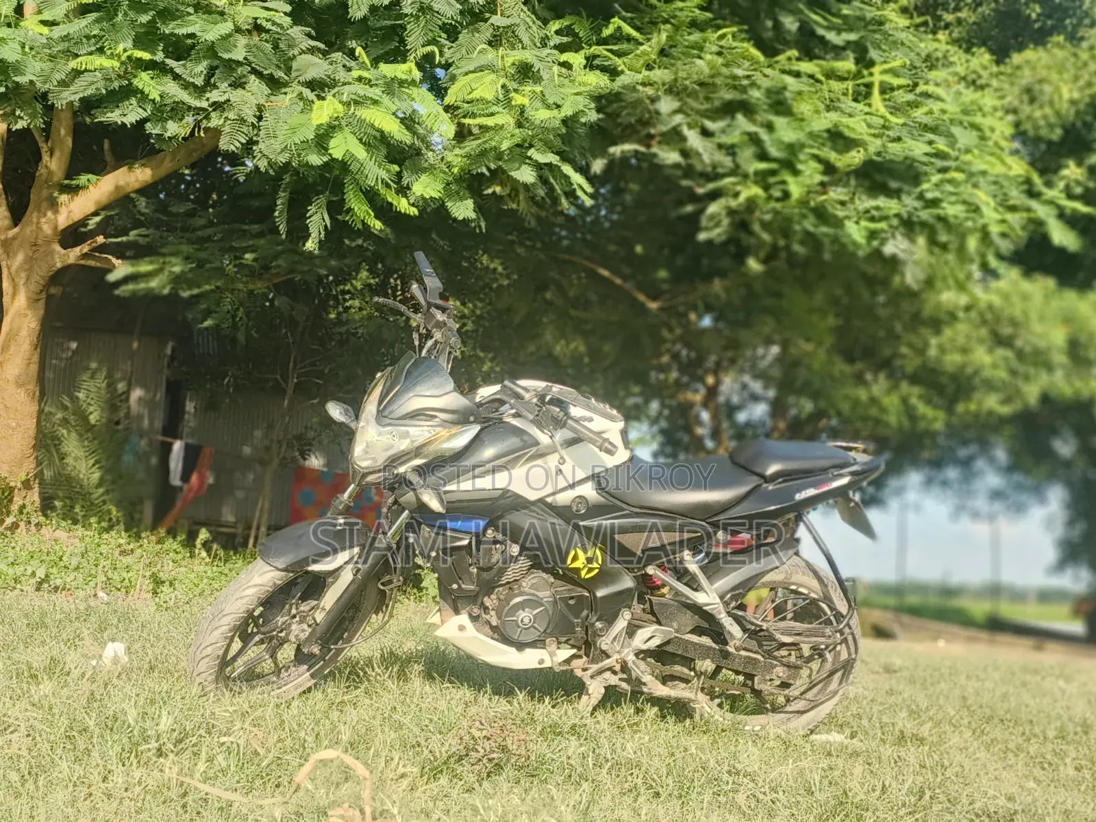 বাজাজ পালসার ১৫০ ২০১৮ সাদা