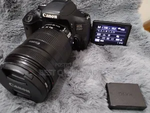 750d+18-135mm Is Lens