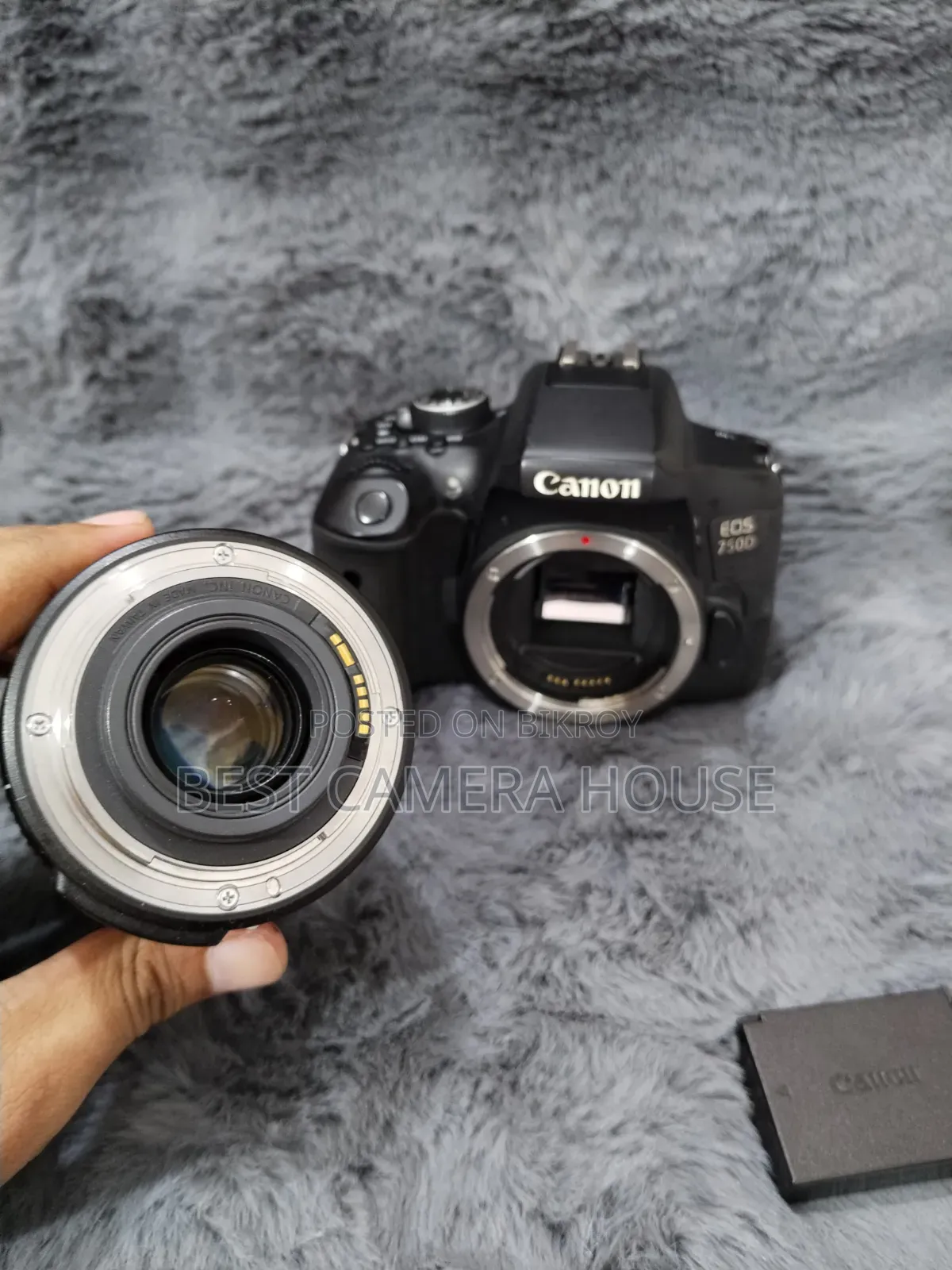 750d+18-135mm Is Lens