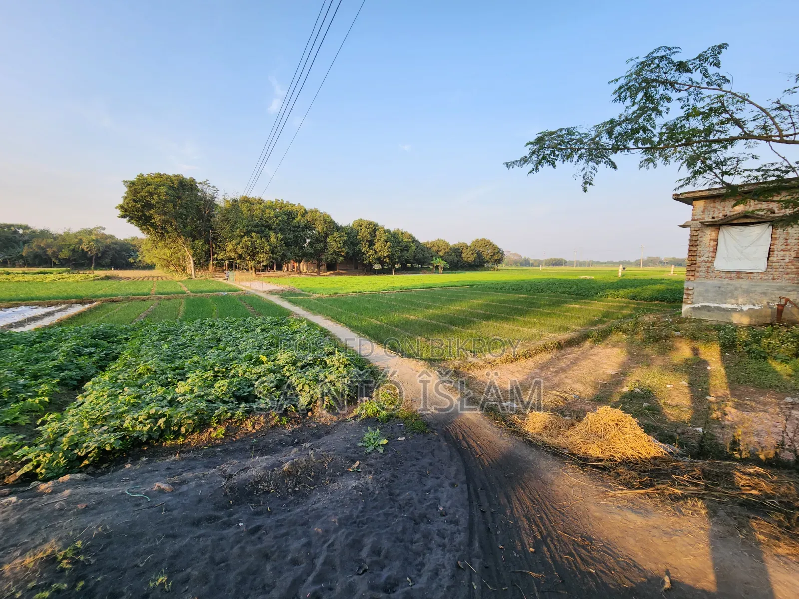 স্কয়ার ৪ কাঠা জমি
