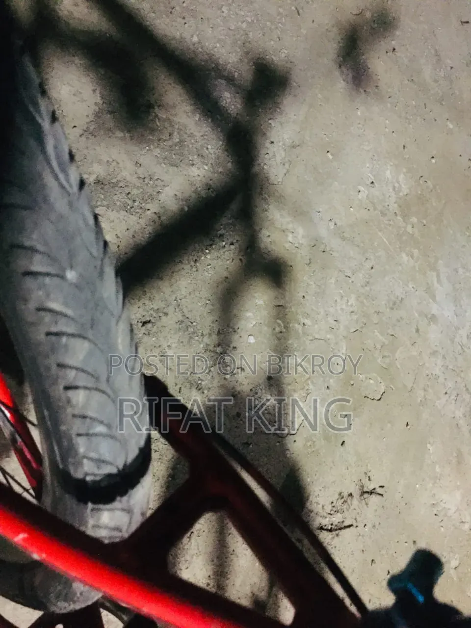 ভেলুচে সেভেন্টি ওয়ান অল ওক