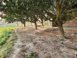 স্কয়ার ৪ কাঠা জমি
