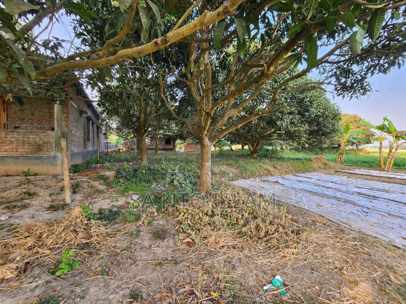 স্কয়ার ৪ কাঠা জমি