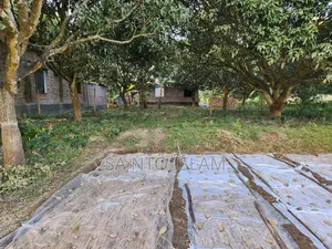 স্কয়ার ৪ কাঠা জমি