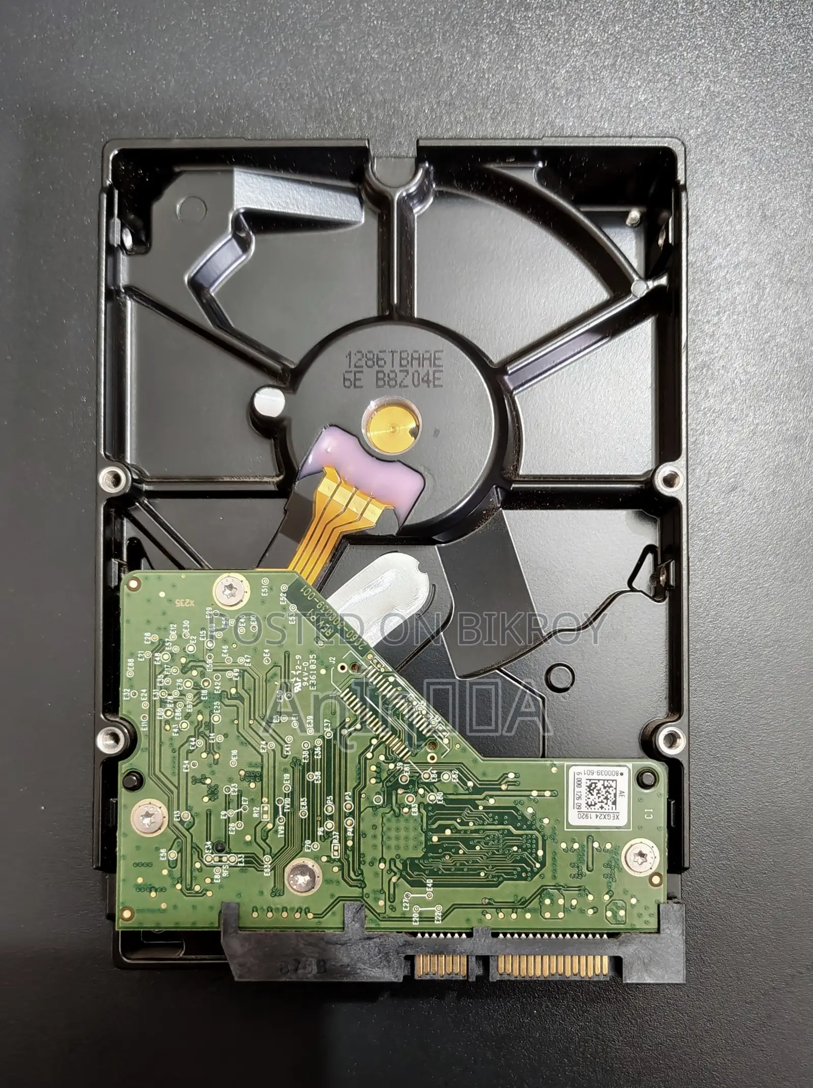 Western Digital Blue 1TB HDD