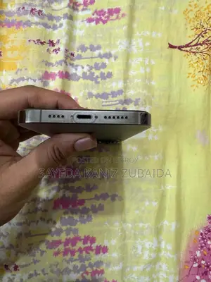 অ্যাপল আইফোন ১৩ প্রো ম্যাক্স ২৫৬ জিবি ব্ল্যাক