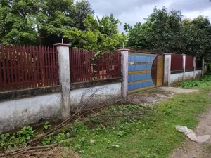 3 Katha East Facing in Sector No. 22