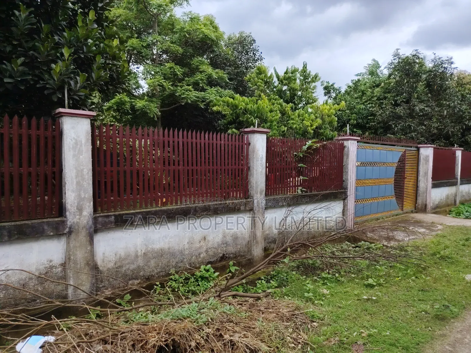 3 Katha East Facing in Sector No. 22