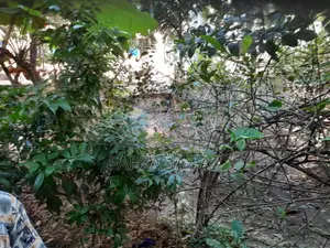 Commercial/Land Plot for Sale