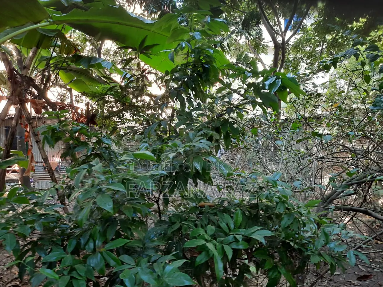 Commercial/Land Plot for Sale