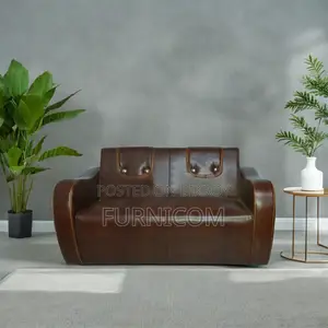 Stylish and New mehgani two seat arm sofa