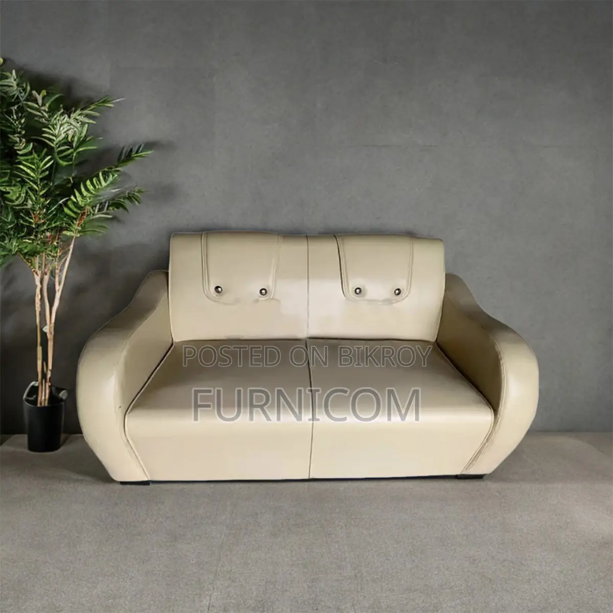 2 Seater Home & Office Arm Sofa
