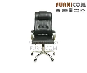Chair/Office Chair/Boss Chair/Director Chair/Home Office