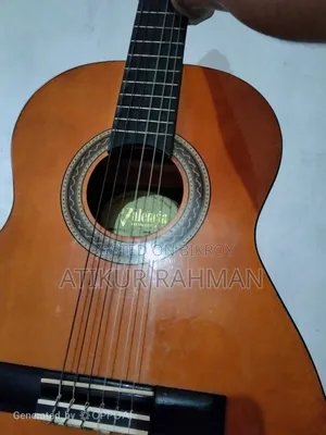 Valencia Guitar