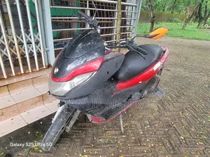 Znen T6 2014 Red