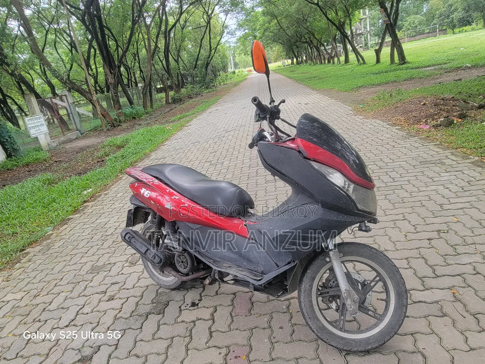 জেন টি৬ ২০১৪ রেড