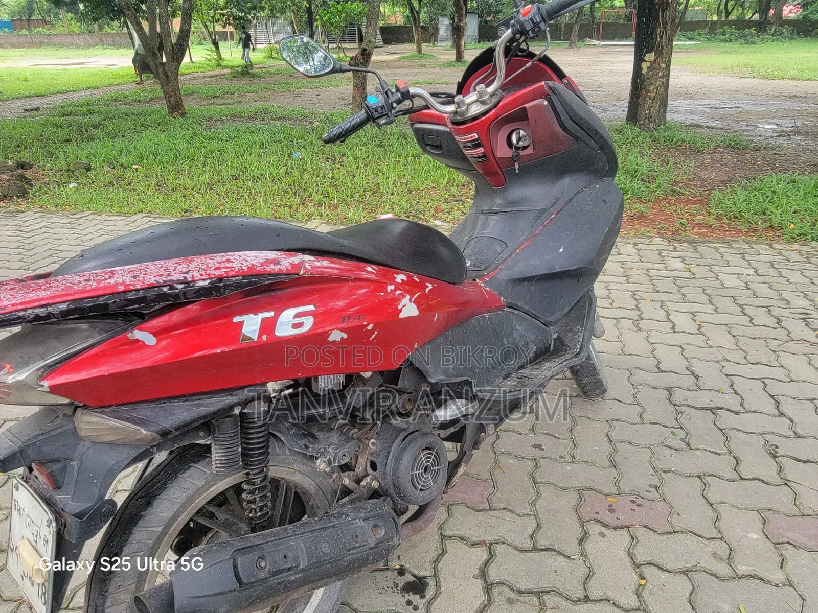 জেন টি৬ ২০১৪ রেড
