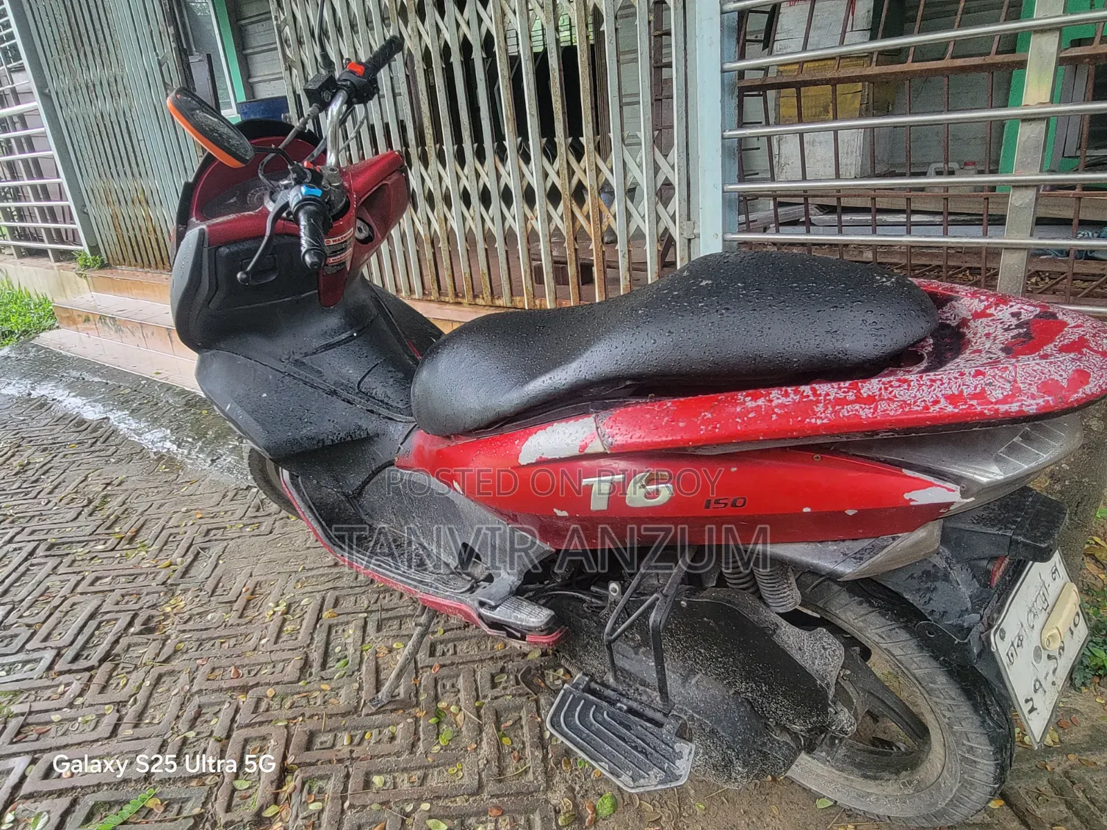 জেন টি৬ ২০১৪ রেড