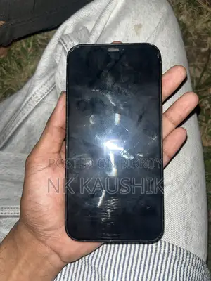 Apple iPhone 12 Pro 128 GB Gray