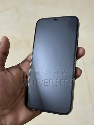 অ্যাপল আইফোন ১২ প্রো ১২৮ জিবি ব্লু