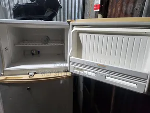 Singer Fridge