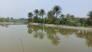 জমি বিক্রি