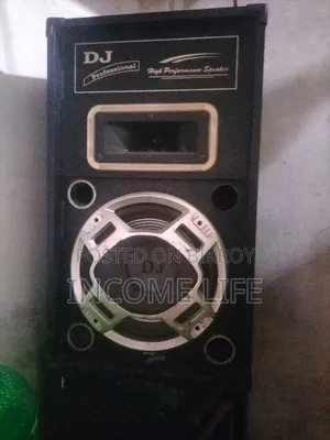 DJ Professional 2-Piece Speaker Set