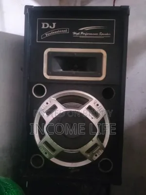 DJ Professional 2-Piece Speaker Set