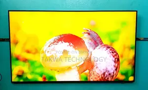 Samsung 55 Inche QLED Framless Voice Control TV