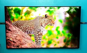 Samsung 55 Inche QLED Framless Voice Control TV