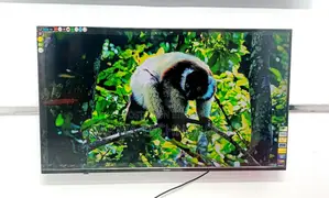 Haier 43" Inch Smart Frameless Voice Control TV