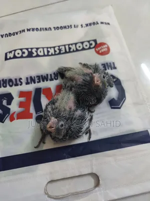 রানিং ককটেল উইথ ২ বেবি