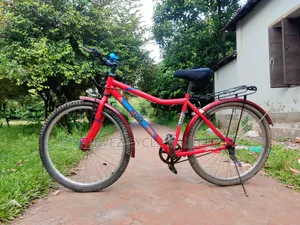 Duranta 24-Inch Full Serviced Cycle – Perfect for Office & Daily Ride |