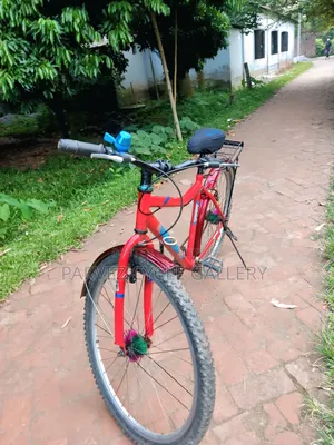 Duranta 24-Inch Full Serviced Cycle – Perfect for Office & Daily Ride |