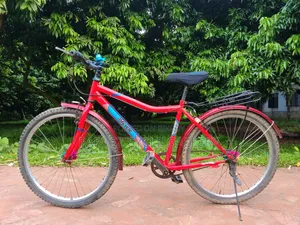 Duranta 24-Inch Full Serviced Cycle – Perfect for Office & Daily Ride |