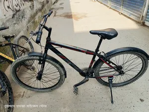 Non-Gear Cycle