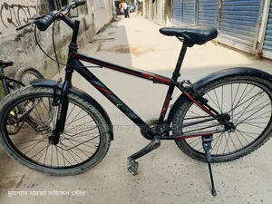 Non-Gear Cycle